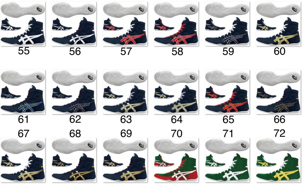 EX-EO TWR900 ASICS TIGER (Original)