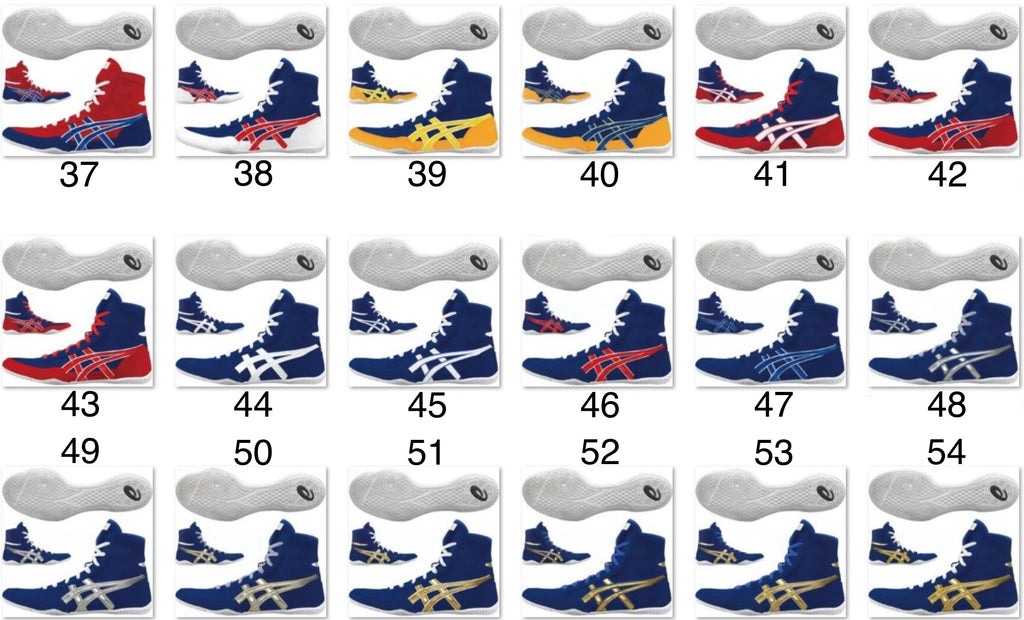 EX-EO TWR900 ASICS TIGER (Original)